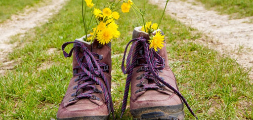 wandelschoenen